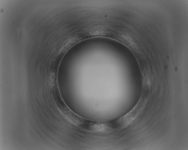 X0000073900171200608181008