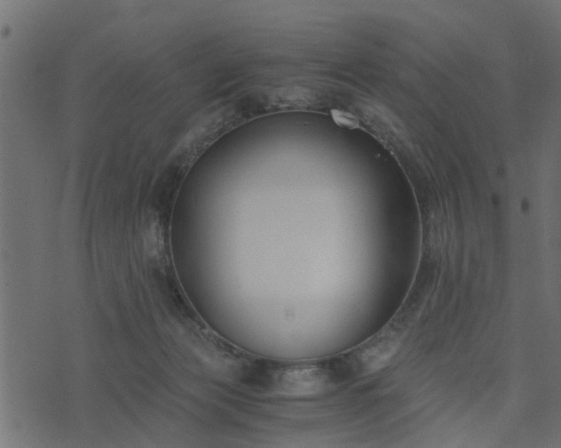 X0000073900173200608181008