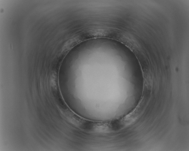 X0000073900175200608181008