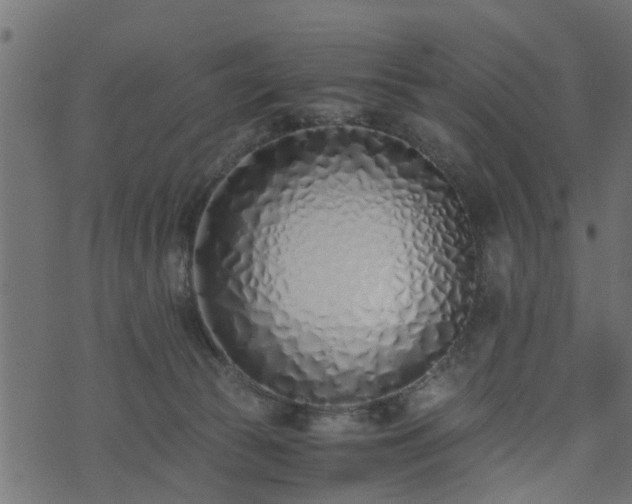 X0000073900177200608181008