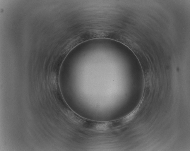 X0000073900178200608181008