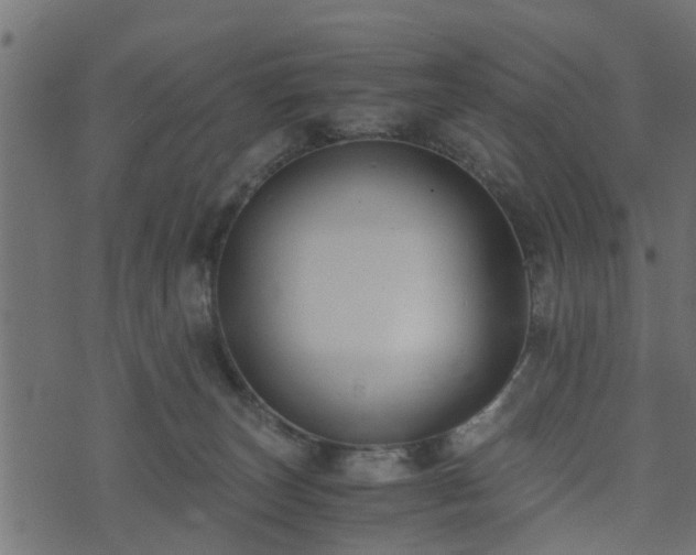 X0000073900179200608181008