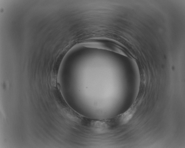 X0000073900180200608181008