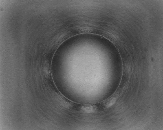 X0000073900181200608181008