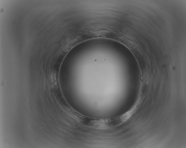 X0000073900182200608181008