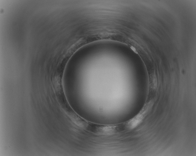 X0000073900184200608181008