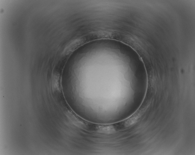 X0000073900185200608181008