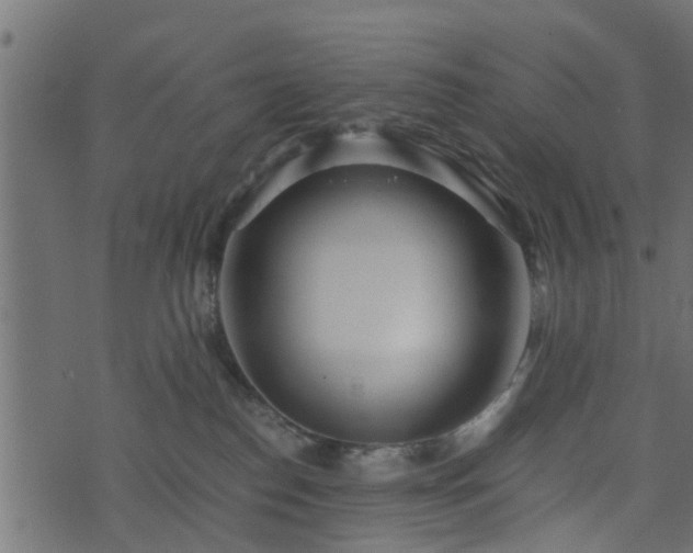 X0000073900186200608181008