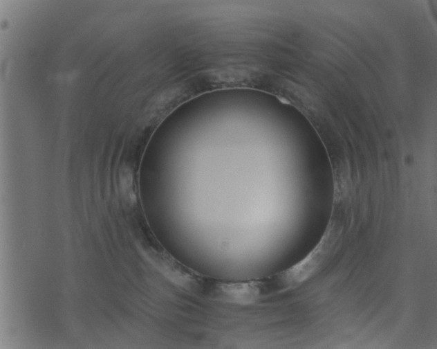 X0000073900187200608181008