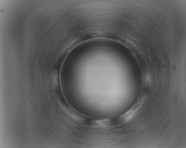 X0000073900188200608181008