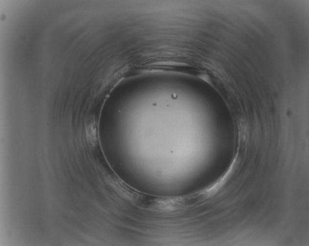 X0000073900190200608181008