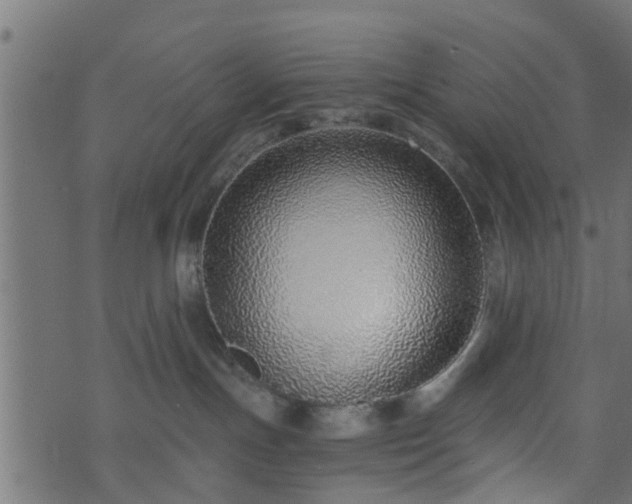 X0000073900191200608181008