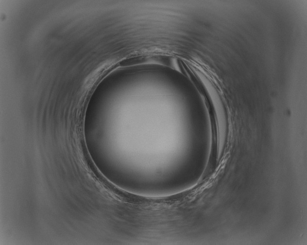 X0000073900193200608181007