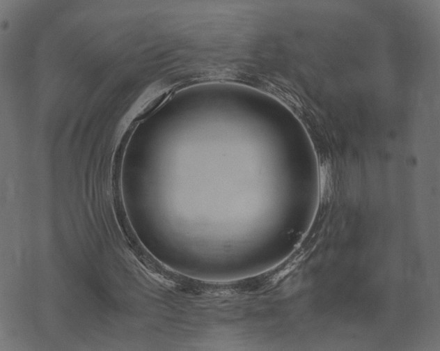 X0000073900195200608181007