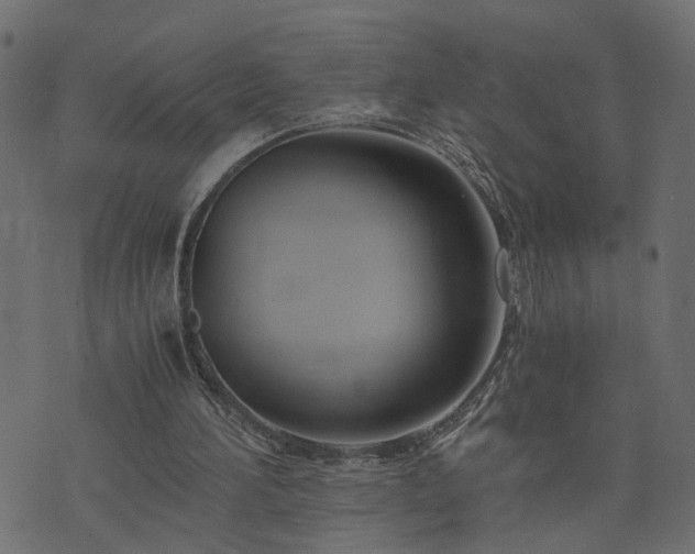 X0000073900196200608181007