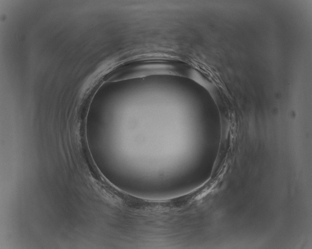 X0000073900197200608181007