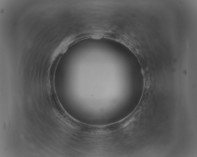 X0000073900198200608181007