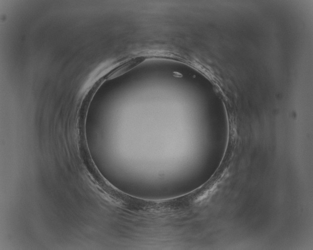 X0000073900199200608181007