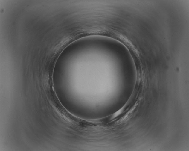 X0000073900201200608181007