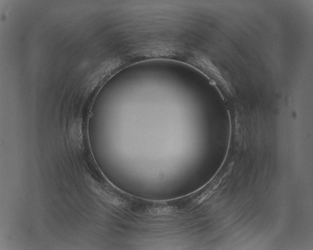 X0000073900202200608181007