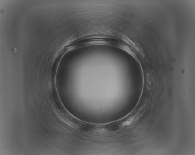 X0000073900203200608181007