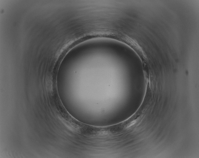 X0000073900204200608181007