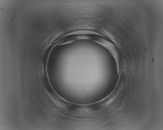 X0000073900205200608181007