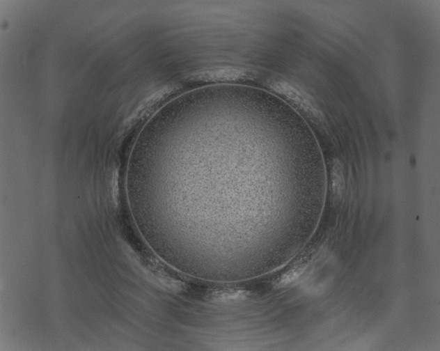 X0000073900206200608181007