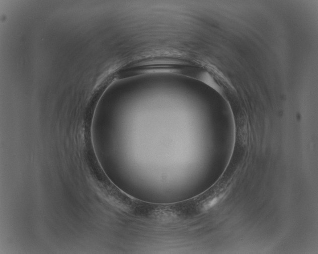 X0000073900207200608181007