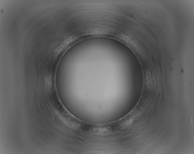 X0000073900208200608181007