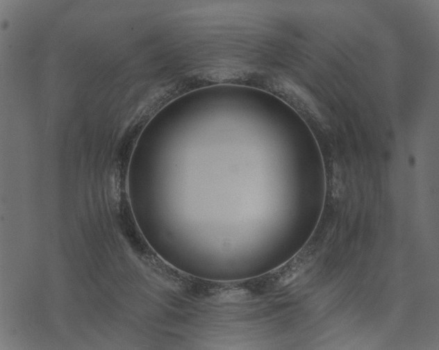 X0000073900210200608181007