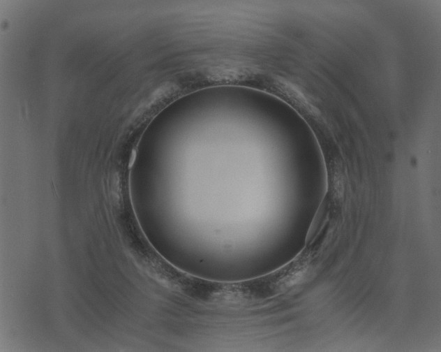 X0000073900211200608181007