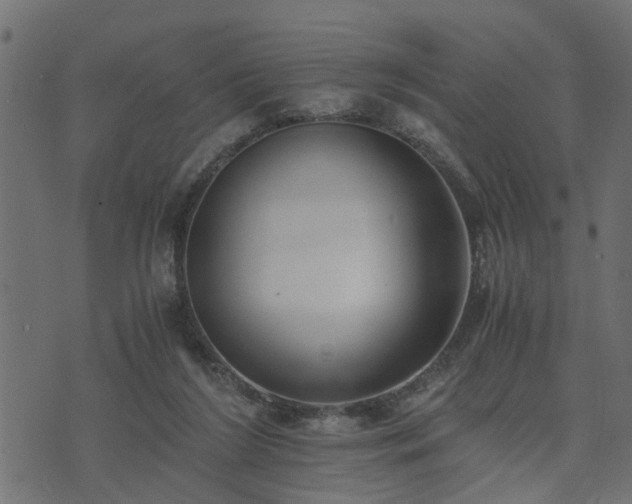 X0000073900212200608181007