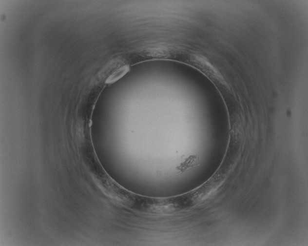 X0000073900213200608181007