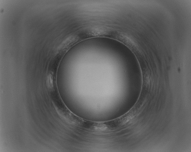 X0000073900214200608181007