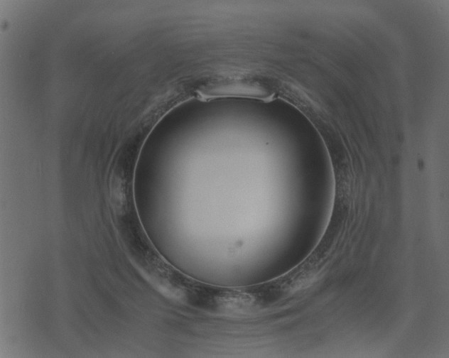 X0000073900215200608181007