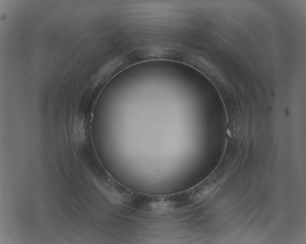 X0000073900216200608181007