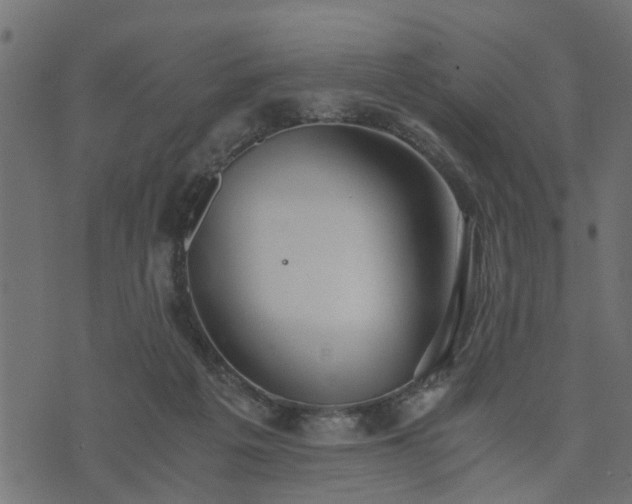 X0000073900217200608181007