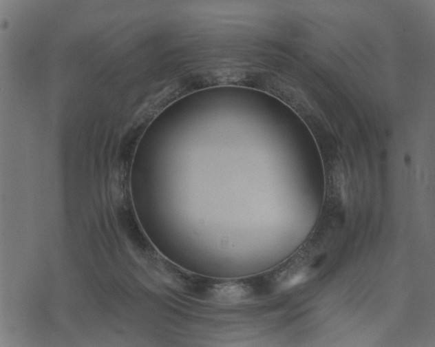 X0000073900218200608181007