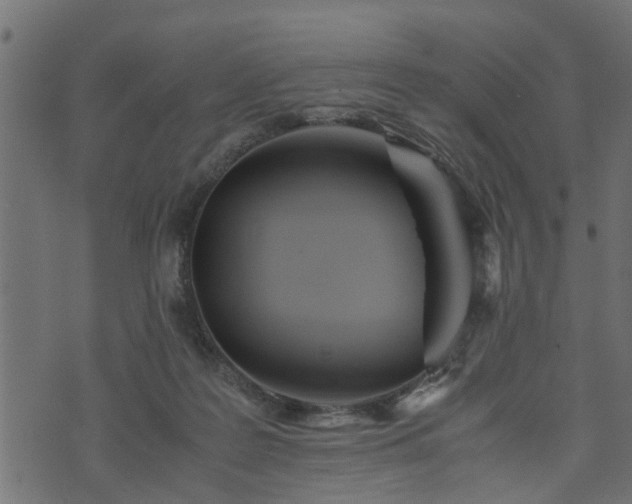 X0000073900219200608181007