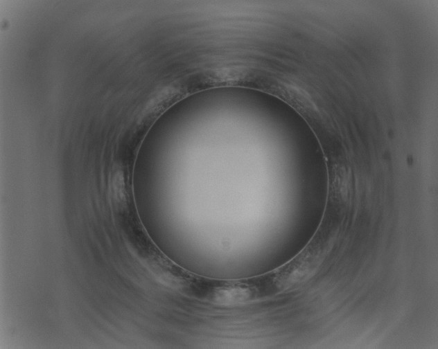 X0000073900220200608181007