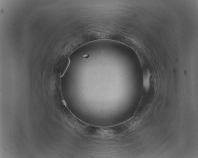 X0000073900221200608181007