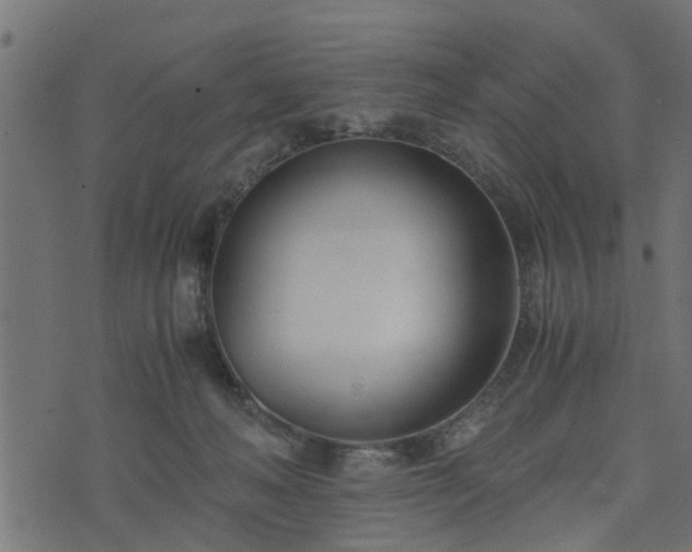 X0000073900222200608181007