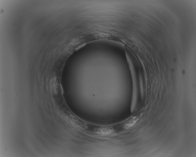 X0000073900223200608181007