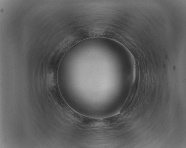 X0000073900224200608181007