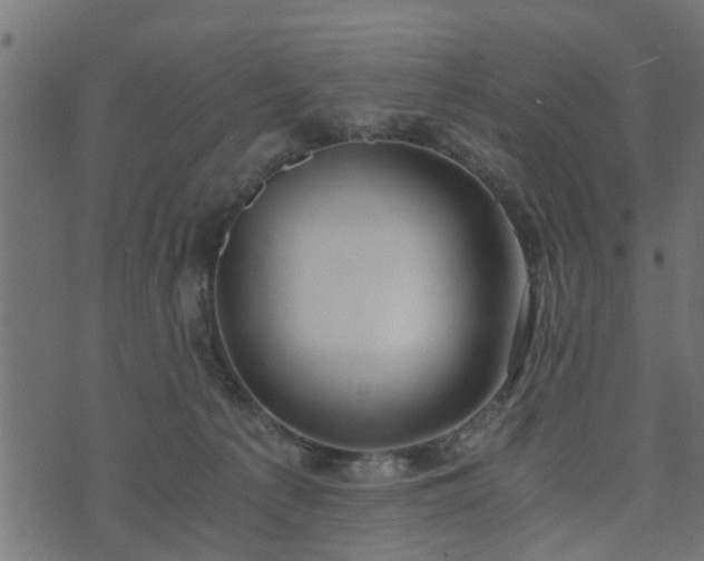 X0000073900225200608181007