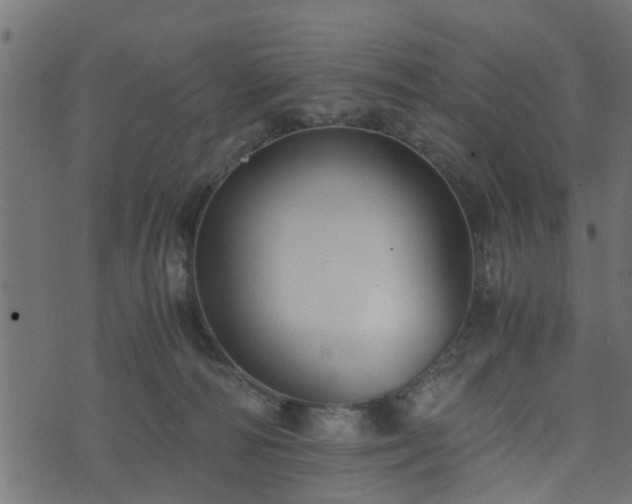 X0000073900226200608181007