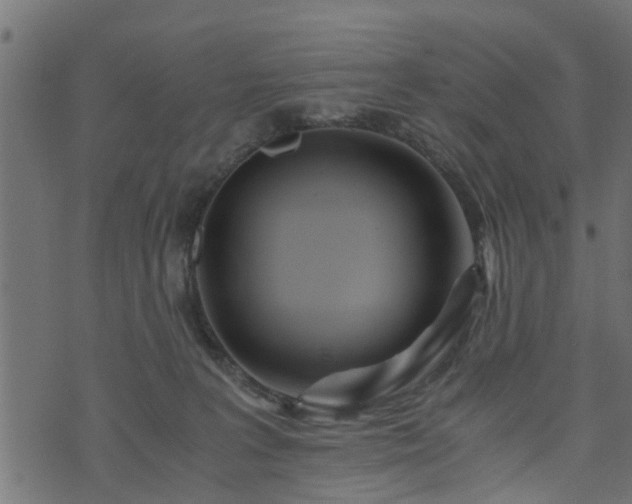 X0000073900227200608181007