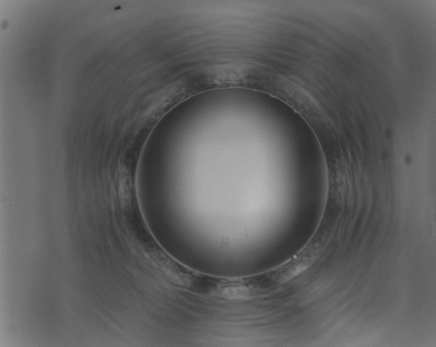 X0000073900228200608181007