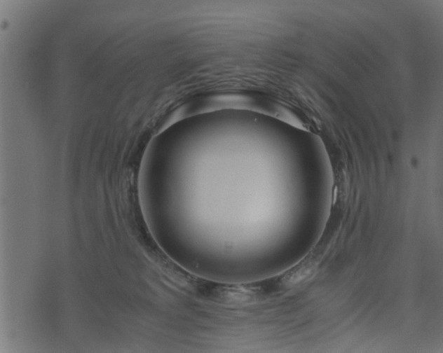 X0000073900229200608181007